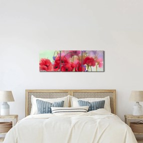 A mák képe (órával) (90x30 cm)