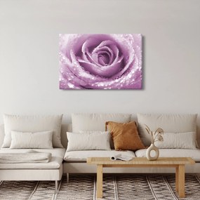 Egy rózsa virág részlete (90x60 cm)