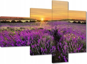 Vászonkép 100x70 Levendula naplemente
