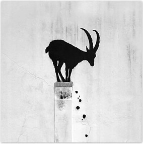 Fotótapéták 208x208 Kozica Banksy Gazella hegyi Nincs magánélet Falfestmény