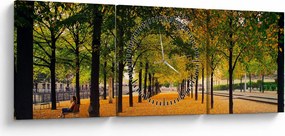 Egy kép az őszi fák sikátorából (órával) (90x30 cm)