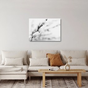 Üveg kép - A tavasz kezdete (70x50 cm)