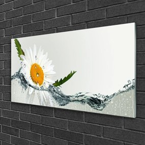 Modern üvegkép Daisy vízinövény 125x50 cm