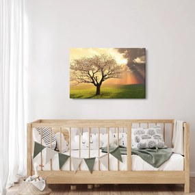 Fa képe a réten (90x60 cm)