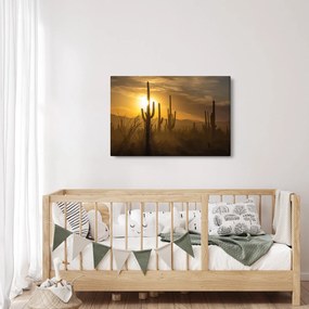 Kép - Saguaro kaktuszok (90x60 cm)