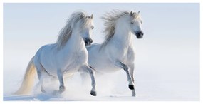 Akrilkép Két ló a hóban oah-46568530