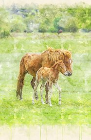 Poszter 53x81cm Ló és csikó 2, Assaf Frank