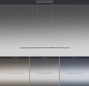 Paul Neuhaus modern függeszték pure-lite antracit pln8375-13