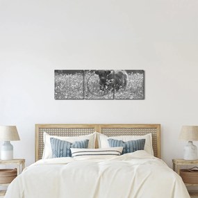 Kép - Skót tehén 5, fekete-fehér (órával) (90x30 cm)