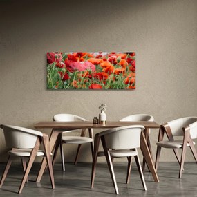 Egy kép a pipacs mezőről (120x50 cm)