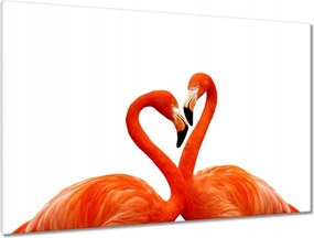 Vászonkép 120x80 Szerelmes pelikánok
