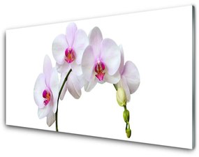 Akrilkép Orchidea Orchidea Virág 100x50 cm 2 fogas