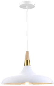 Prezent TRIER II. 46309 Függőlámpa 1x40W/E27 IP20