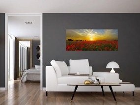 Egy kép a pipacs mezőről (120x50 cm)