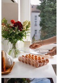 Műanyag tojástartó hűtőbe 33x21 cm – Casa De Engel