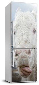Hűtőre ragasztható matrica Őrült fehér ló FridgeStick-70x190-f-80296116
