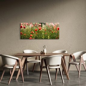 Pipacsok képe (120x50 cm)