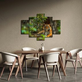 Pihenő tigris képe (150x105 cm)