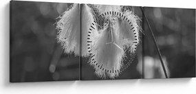 Kép - Cottongrass (órával) (90x30 cm)
