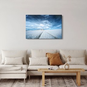 Mezőkép (90x60 cm)
