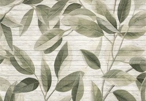 Fotótapéta flizelina Zöld levelek a deszkákon szürke természet 416x254 +ragasztó