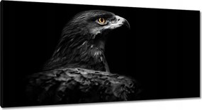 Vászonkép 115x55 Sas fekete alapon