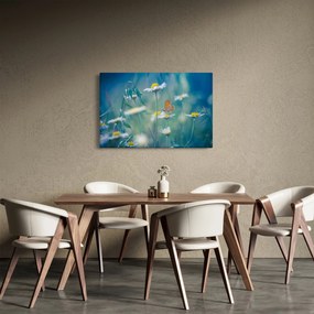 Kép - pillangó a százszorszépen (90x60 cm)
