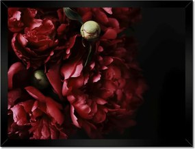 Poszterek keretben 40x30 Bazsarózsa bordó hangulatban