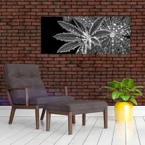Kép - Cseppek (120x50 cm)