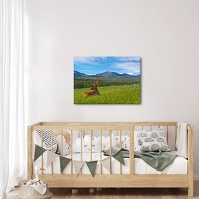 Kép - Szarvas a réten (70x50 cm)