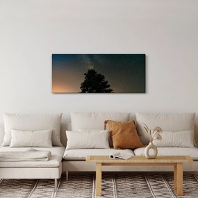 Egy éjszakai égbolt fákkal képe (120x50 cm)