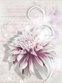 Fotótapéta Fehér-rózsaszín virágok vinil elegancia 184x254 +ragasztó