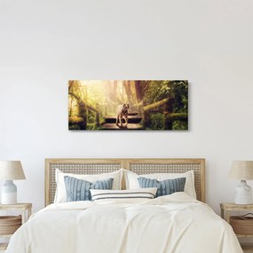 Tigris képe (120x50 cm)