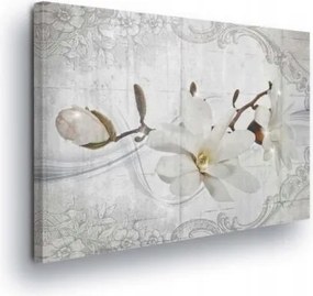 Vászonkép 100x75 Magnólia virág finomság tavasz virágzás botanika vintage