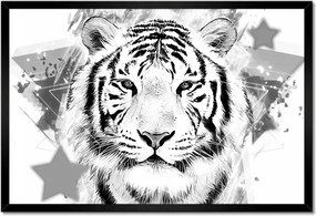 Poszterek keretben 60x40 Tigris fej grafika
