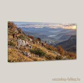 Hegyi csend aranyban – prémium vászonkép 40x23 cm
