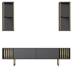 TV szekrény Gold Line - Anthracite, Black