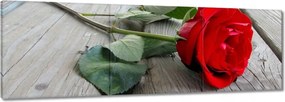 Vászonkép 150x50 Rózsa a deszkákon