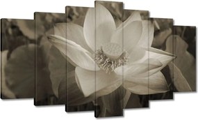 Vászonkép 140x80 Lótusz Lótuszvirág