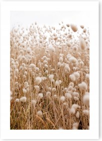 Boho fű bézs poszter 50x70cm #109