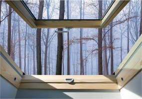 Fotótapéta Téli erdő Kilátás a Manzárd Ablakból 368x280 vinil +ragasztó