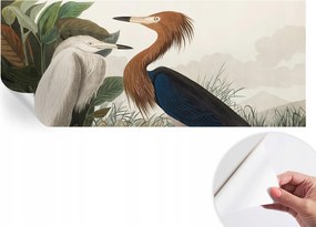 Öntapadós tapéta Fali furnér 3D hatás Madarak a növényekben 250x104 cm