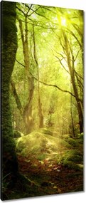 Vászonkép 55x115 Varázslatos erdő Tájkép