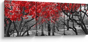 Kép - vörös fák,Central Park, New York (órával) (90x30 cm)