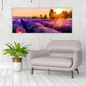 Levandula mező képe (120x50 cm)