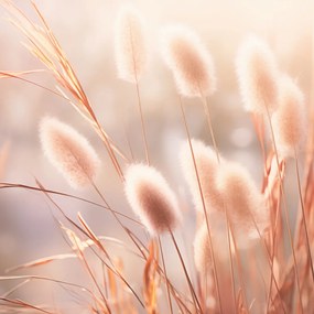 Poszter 30x30cm Napvirágok