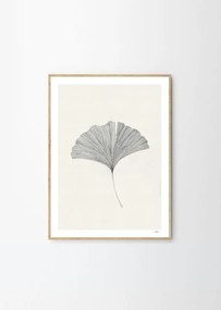 Poszter 50x70 cm Ginkgo Leaf – Ana Frois – The Poster Club