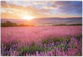 Poszterek 200x135 Csodálatos naplemente