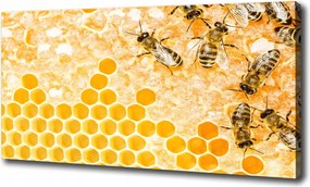 Vászonkép Dolgozó méhek 100x70 cm