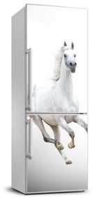 Dekor matrica hűtőre Fehér ló FridgeStick-70x190-f-99028092